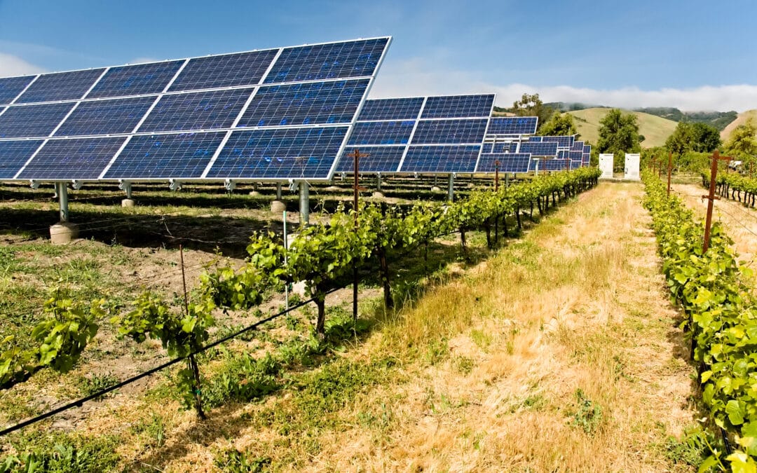 Centrale solaire au sol de culture - Agrivoltaïsme