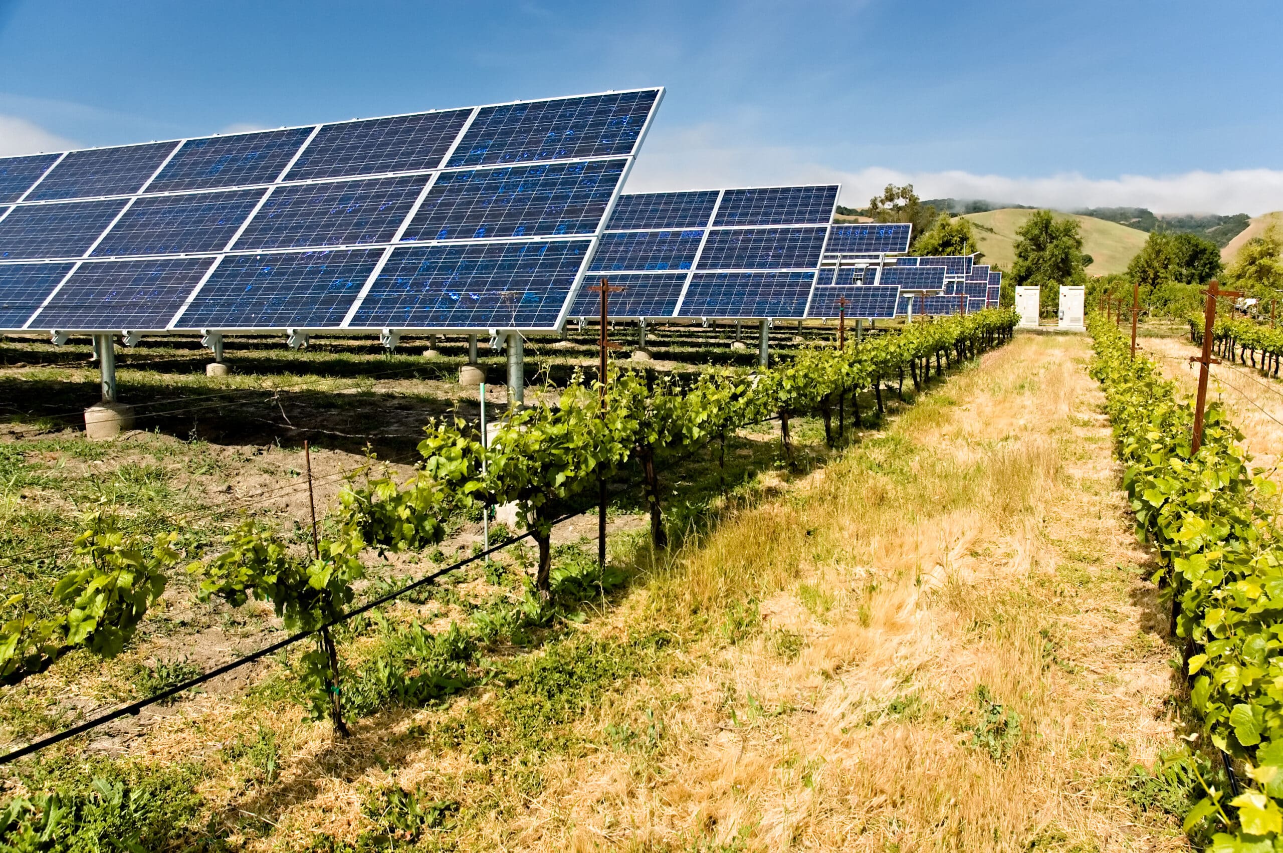 Ombrière solaire de culture