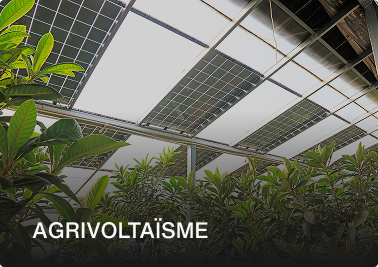 serre agrivoltaïque de culture